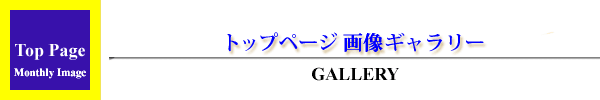 トップページ画像ギャラリー