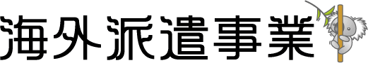 海外派遣事業について